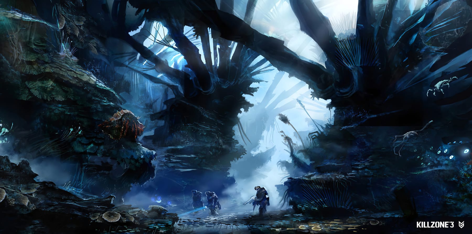 Vecta jungle